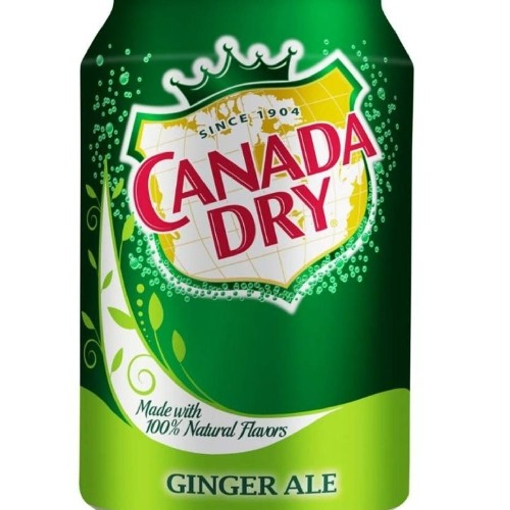 Ginger Ale Soda Can