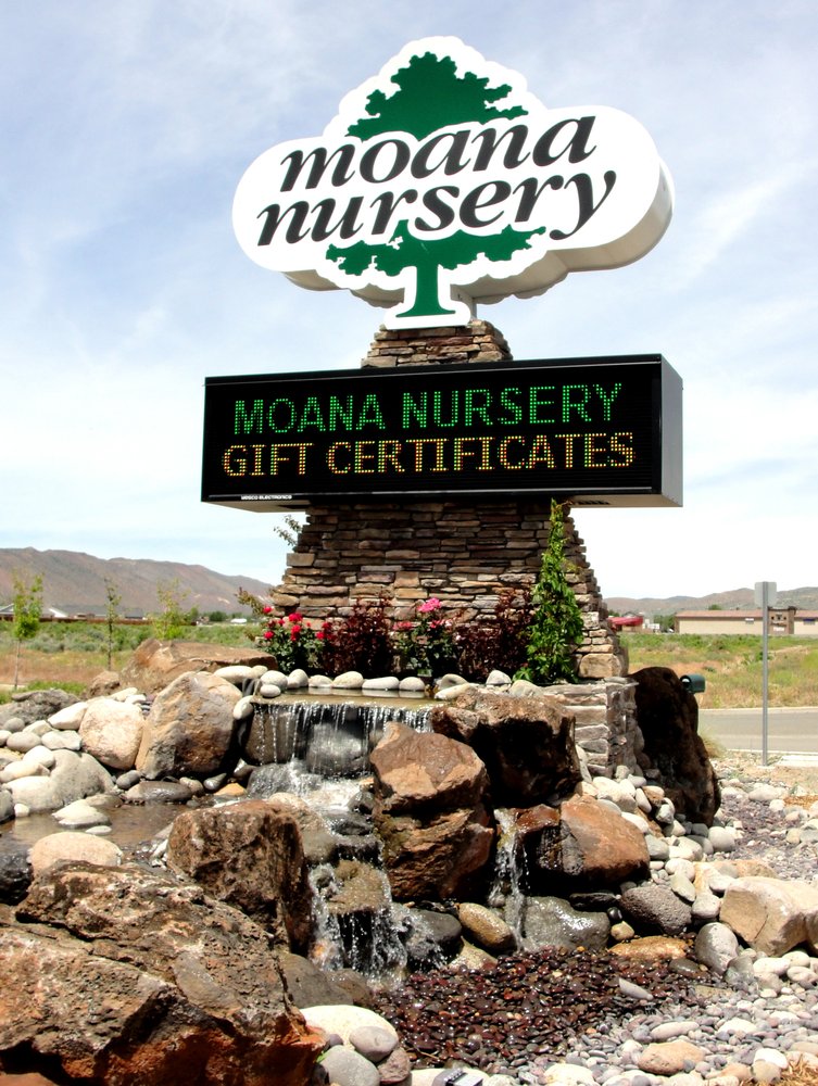 moana nursery in sparks nv 775 425 4 moana nursery in sparks nv 775 425 4