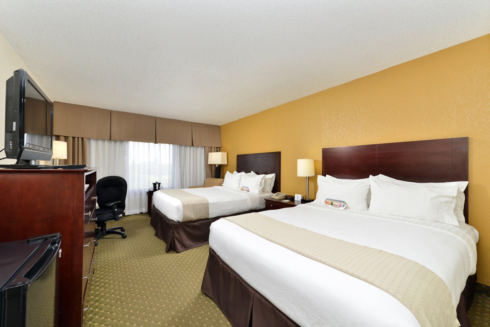 Holiday Inn St Petersburg N - Clearwater Photo