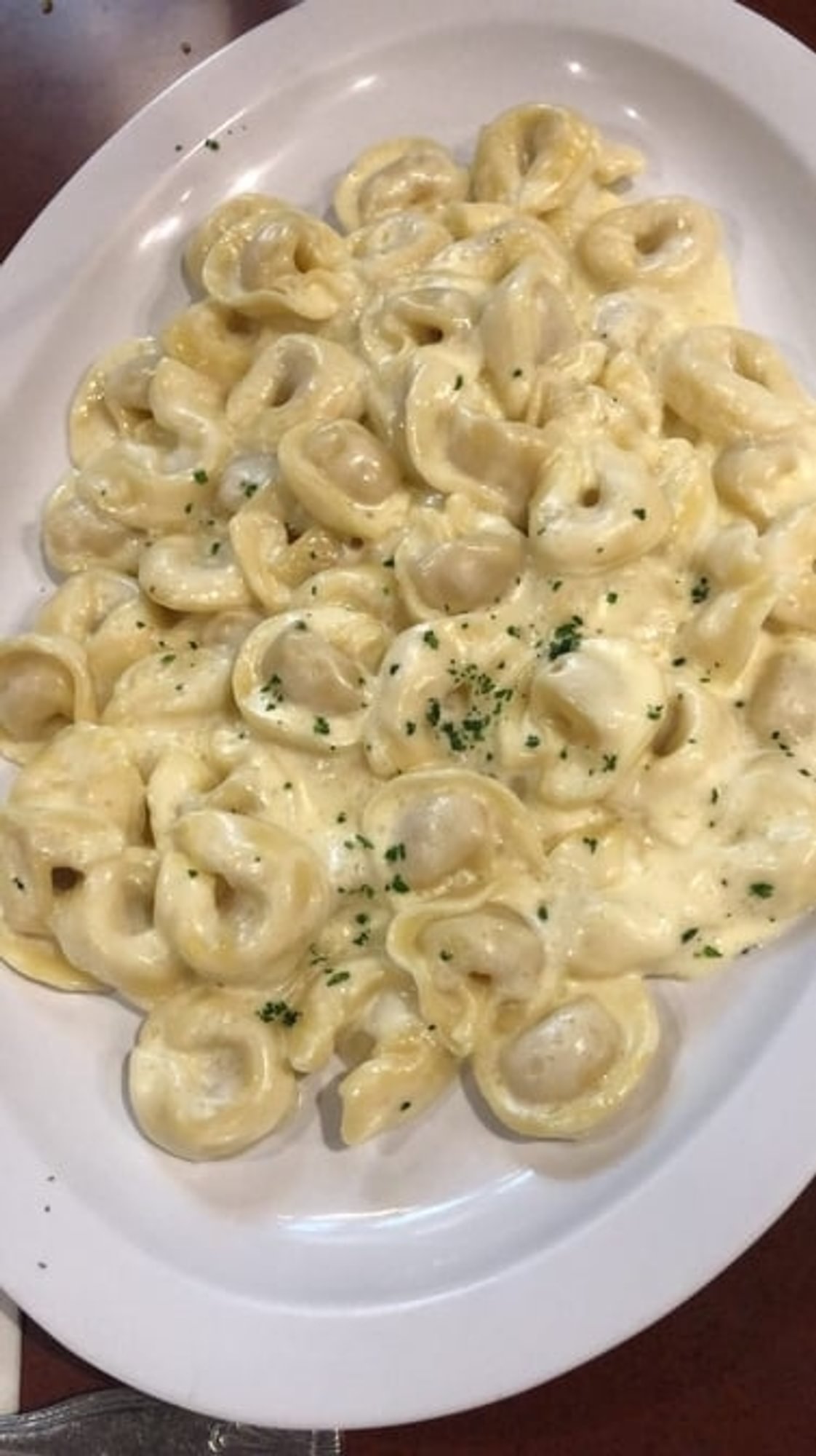 Tortellini panna (Alfredo sauce)