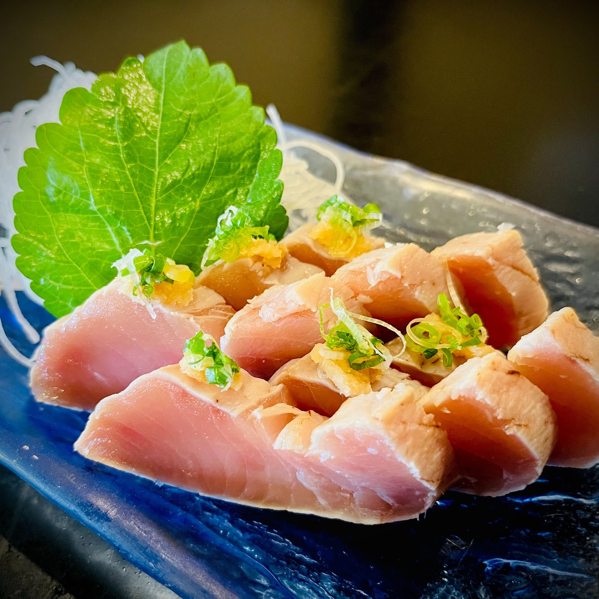 Albacore