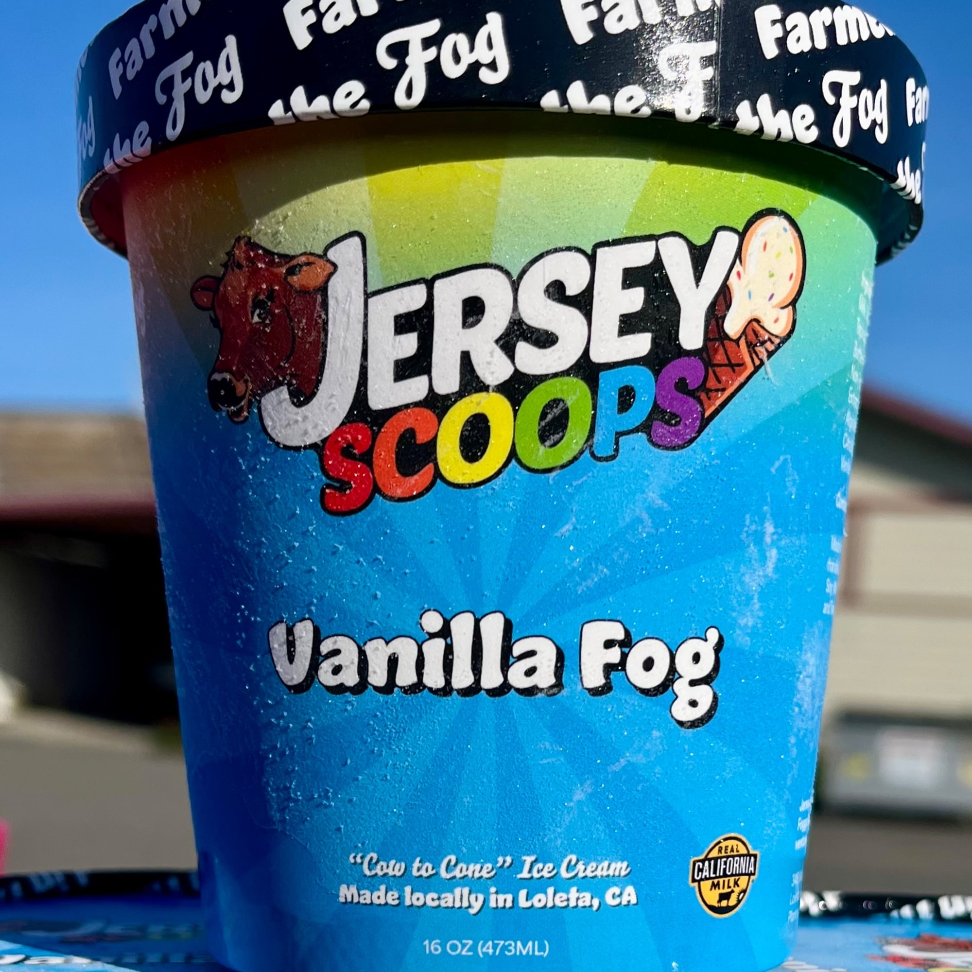 Pint of Jersey Scoops - Vanilla Fog Ice Cream (Must order 24hrs. in advance.)