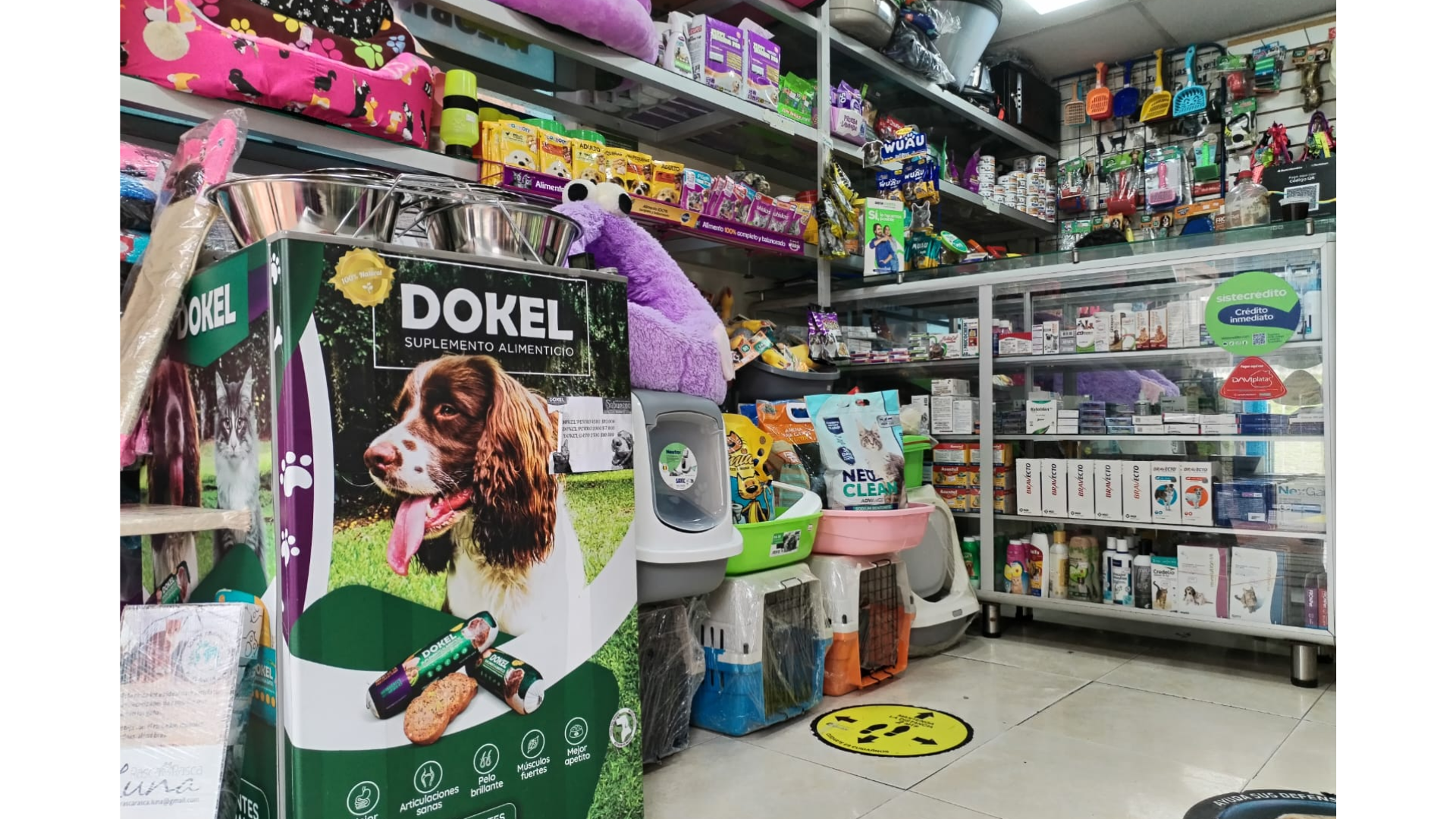 Galería en miniatura