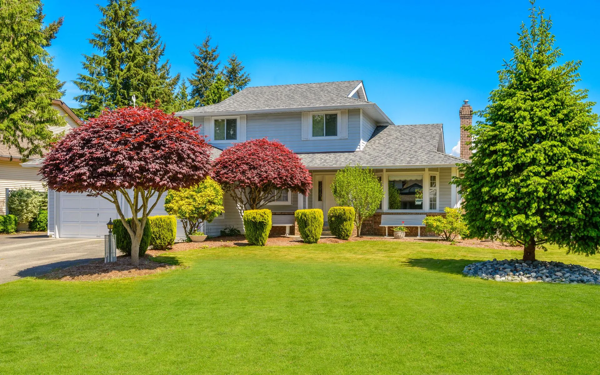Trees, Shrubs, and Flowers