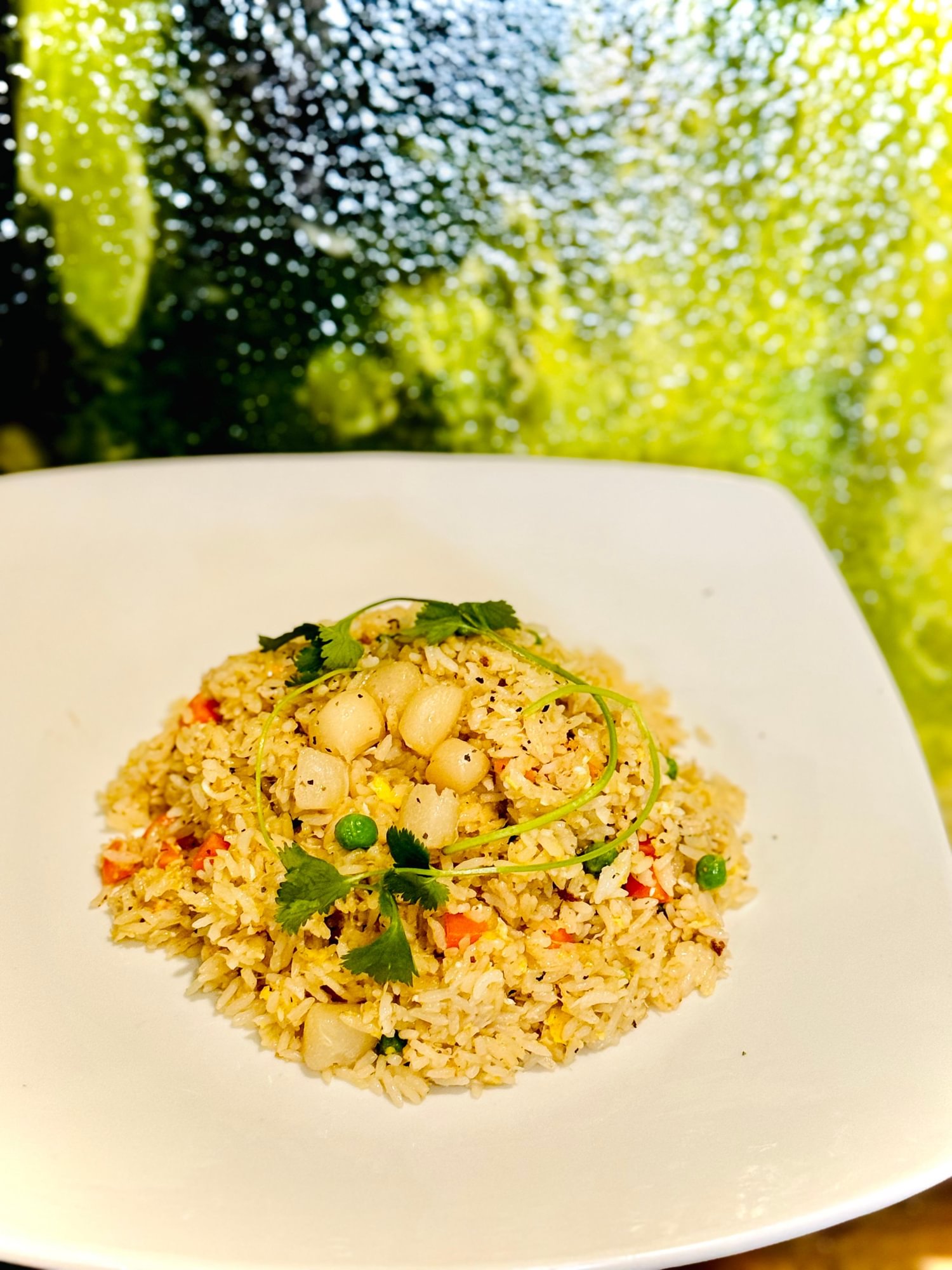 R6. Snow Crab and Scallop Fried Rice
