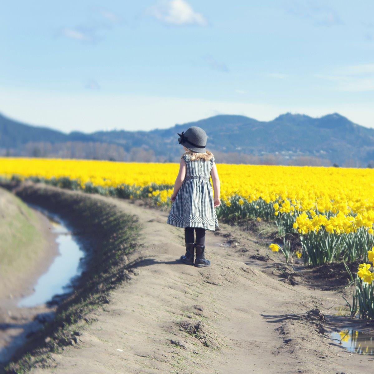 Elizabeth Jarvis Photography Image