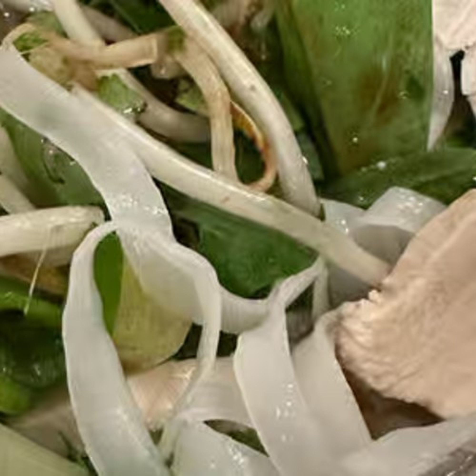 Pho Ga / Pho Ga