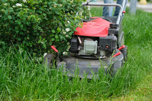 Fernandez & Sons Masonry Landscaping Corp. Image