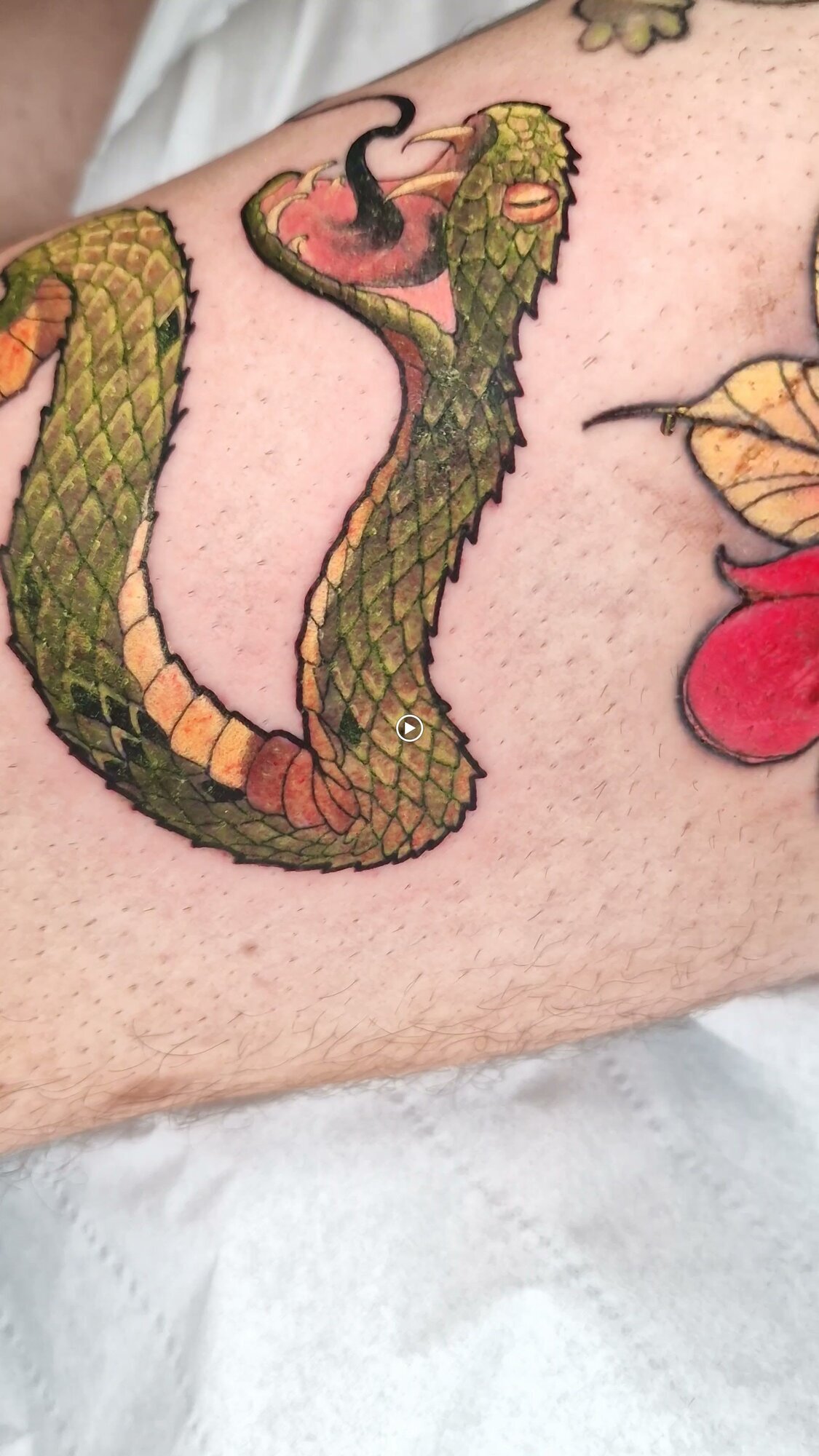 Miniature de la galerie