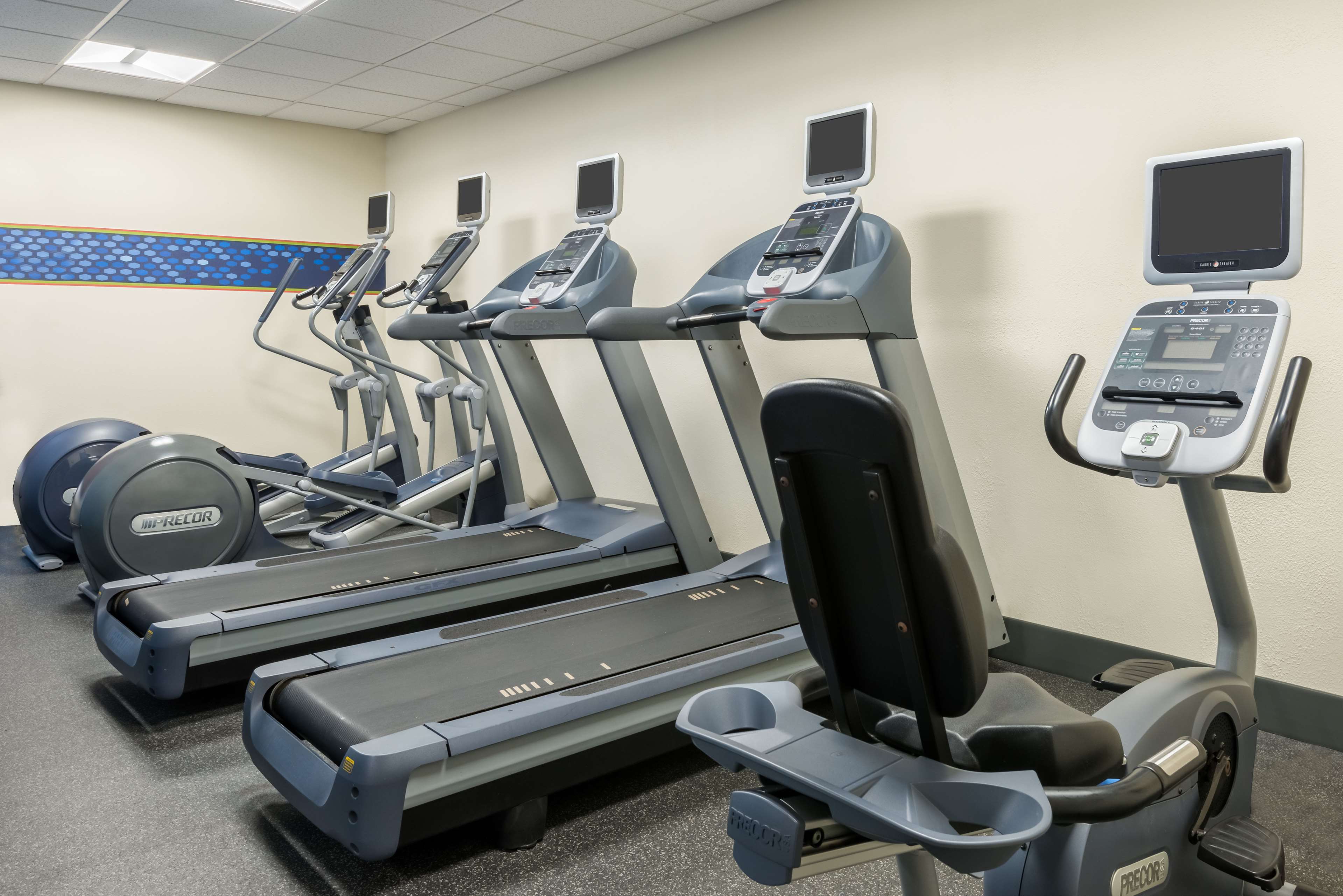 Health club  fitness center  gym