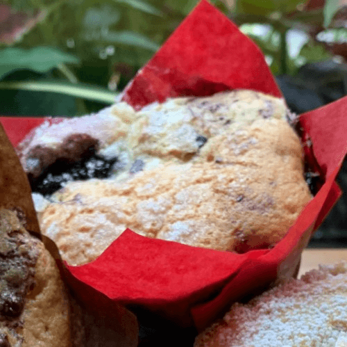 Blueberry Swirl-filled with Blueberry Compote
