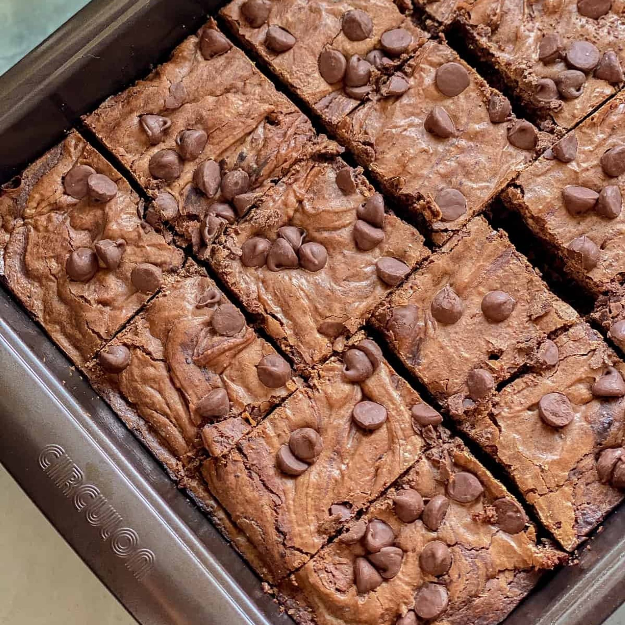 Chocolate Chip Brownie
