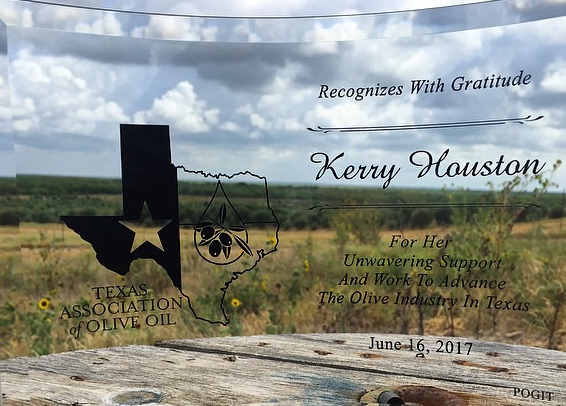 1836: A Texas Olive Company Logo