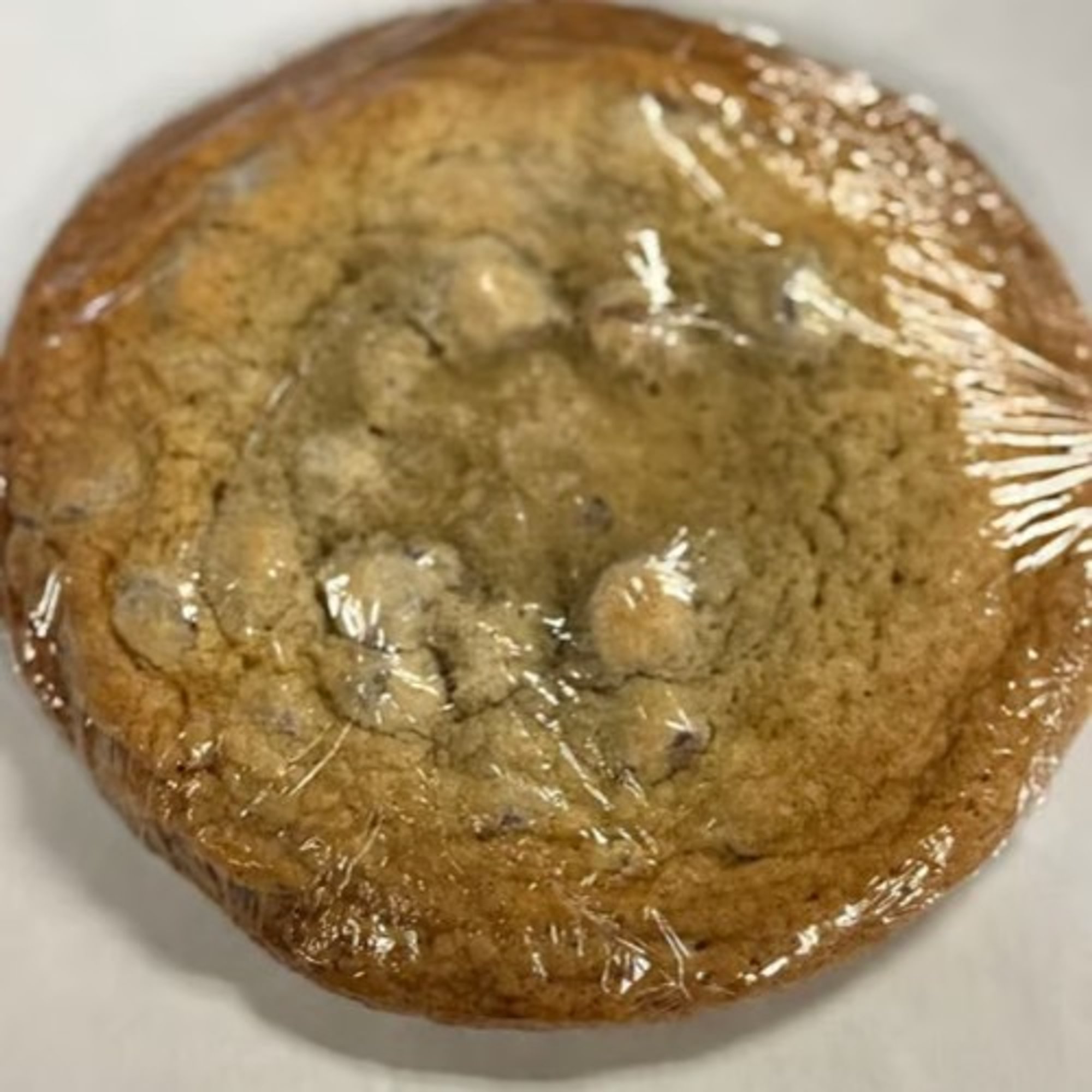 Homemade Chocolate Chip Cookie