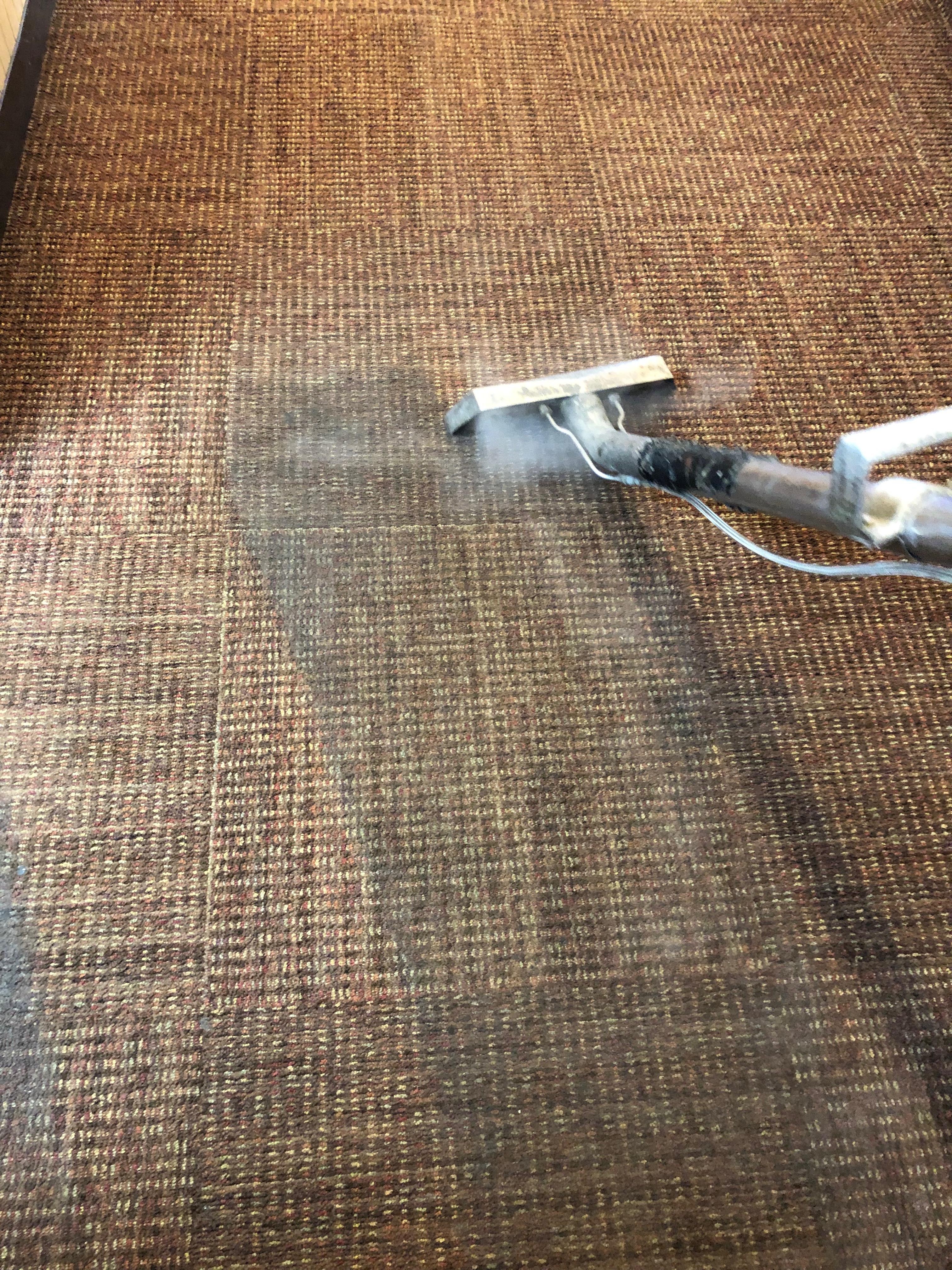 Oops! Steam Cleaning Photo