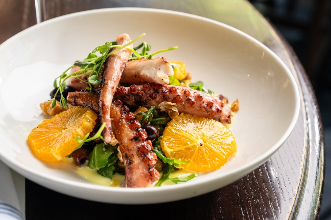 Grilled Octopus