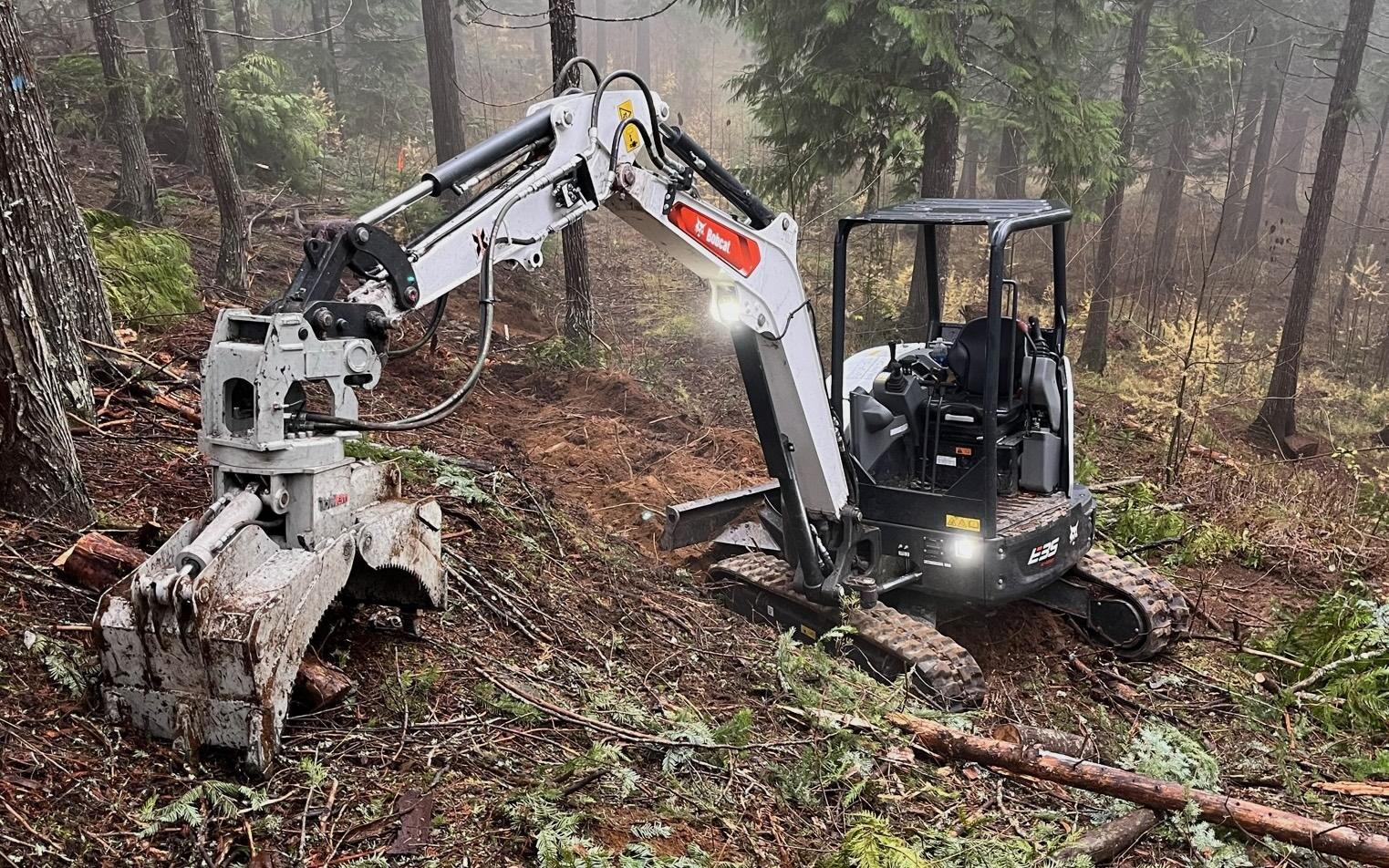 Timber Valley Tree Co. Image