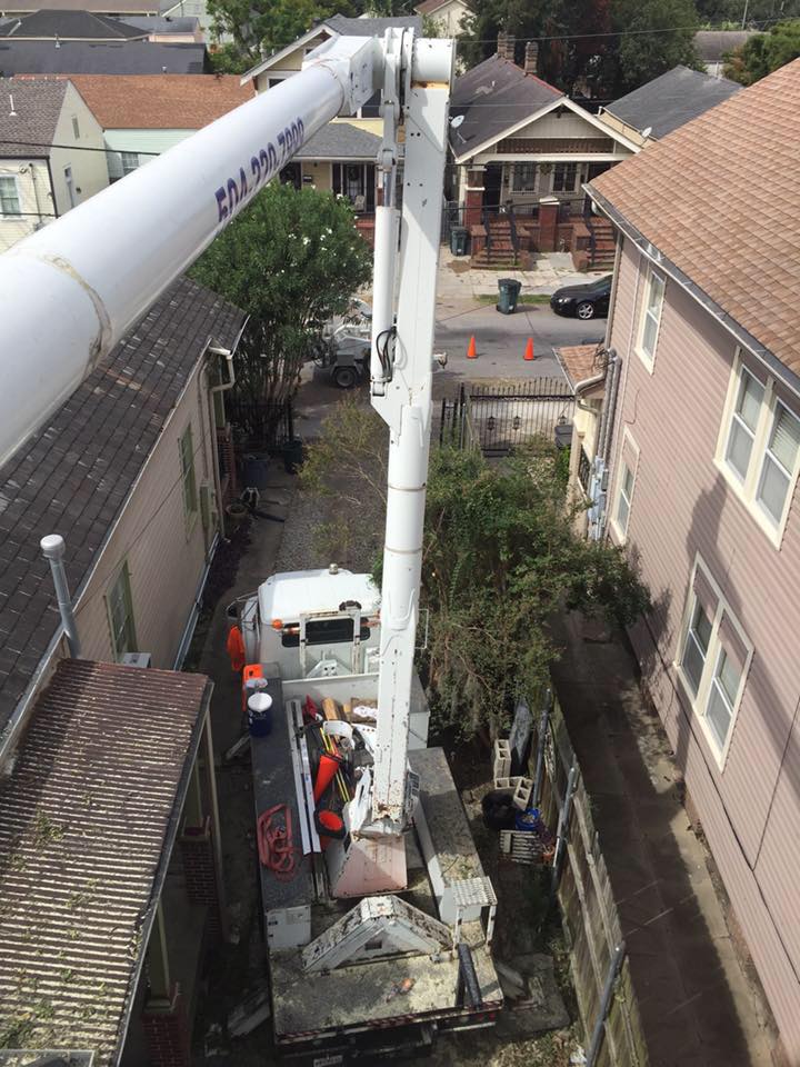 Louisiana Tree Company LLC Image