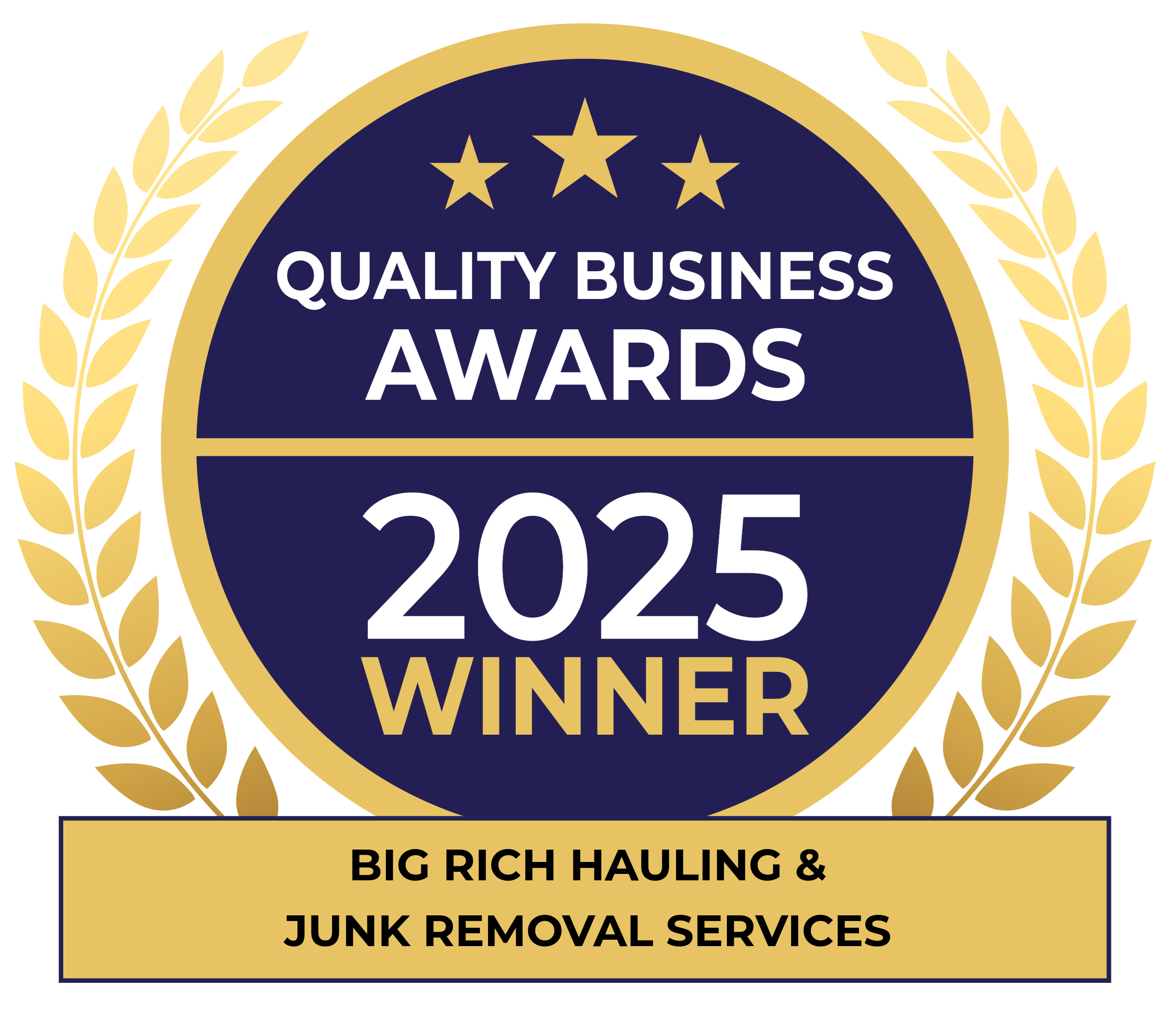 Big Rich Hauling & Junk Removal Services Image