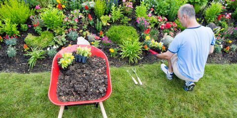 Why You Should Fertilize Your Lawn in Early Spring