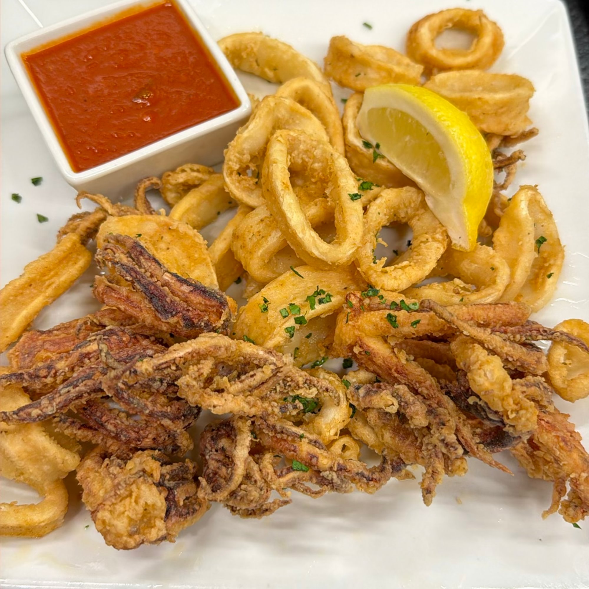 Fried Calamari