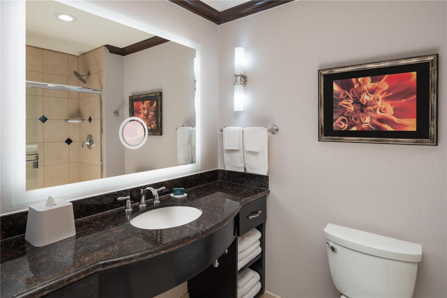 Hilton Dallas/Rockwall Lakefront Image