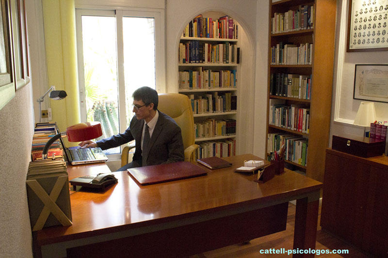 Galería en miniatura