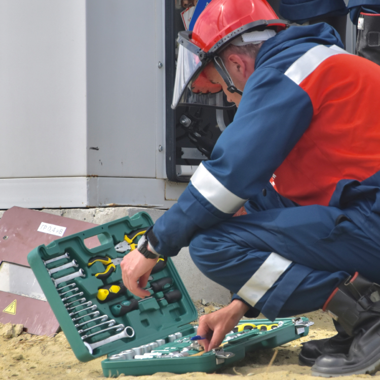 Galería en miniatura