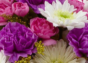 Barbur Floral Shop Image