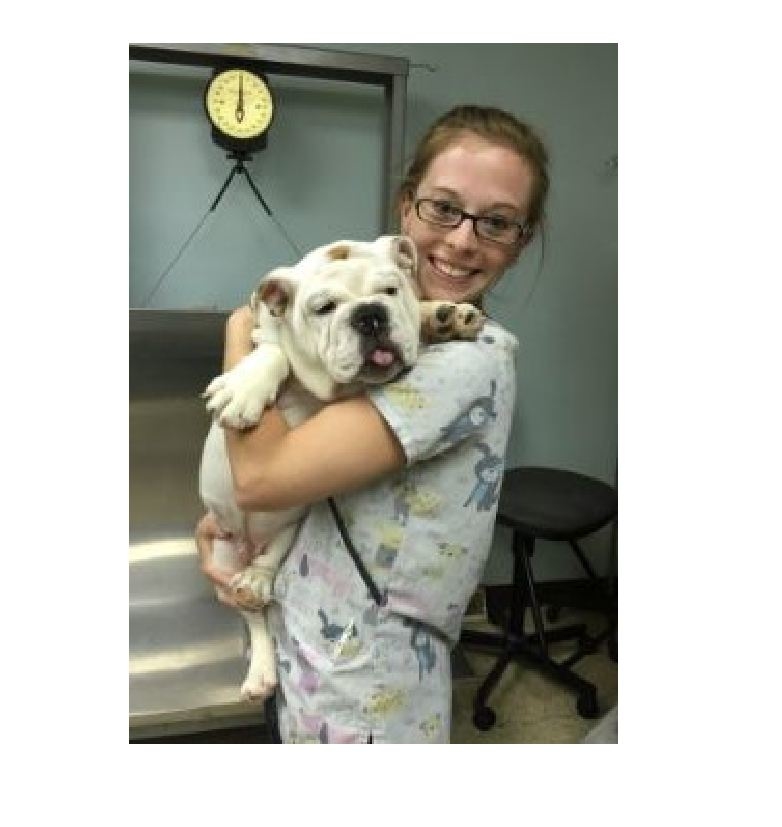 Stephens City Animal Hospital Image