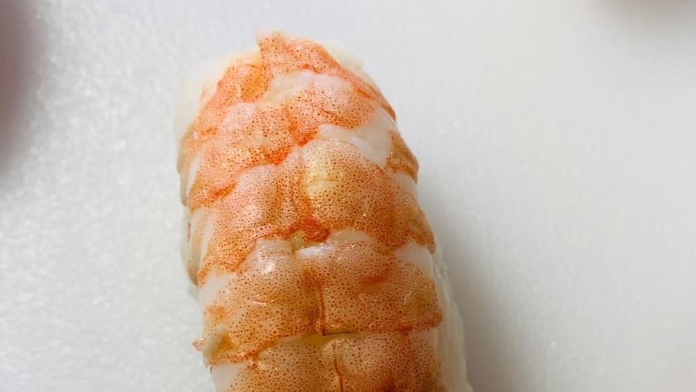 Shrimp