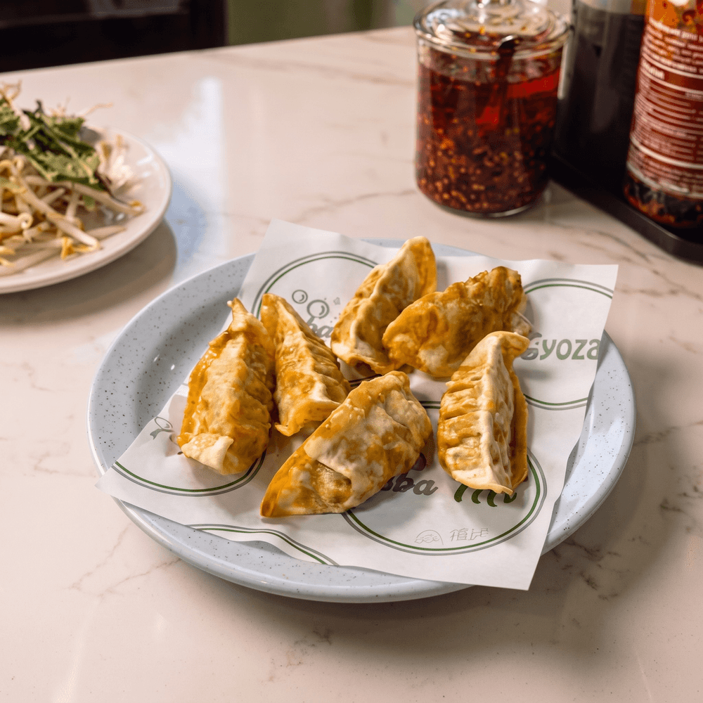 Pork Dumplings