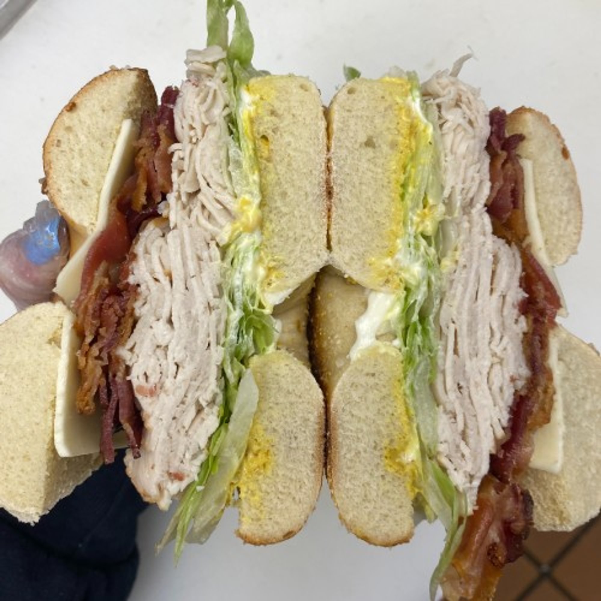 Roast Turkey Sandwich