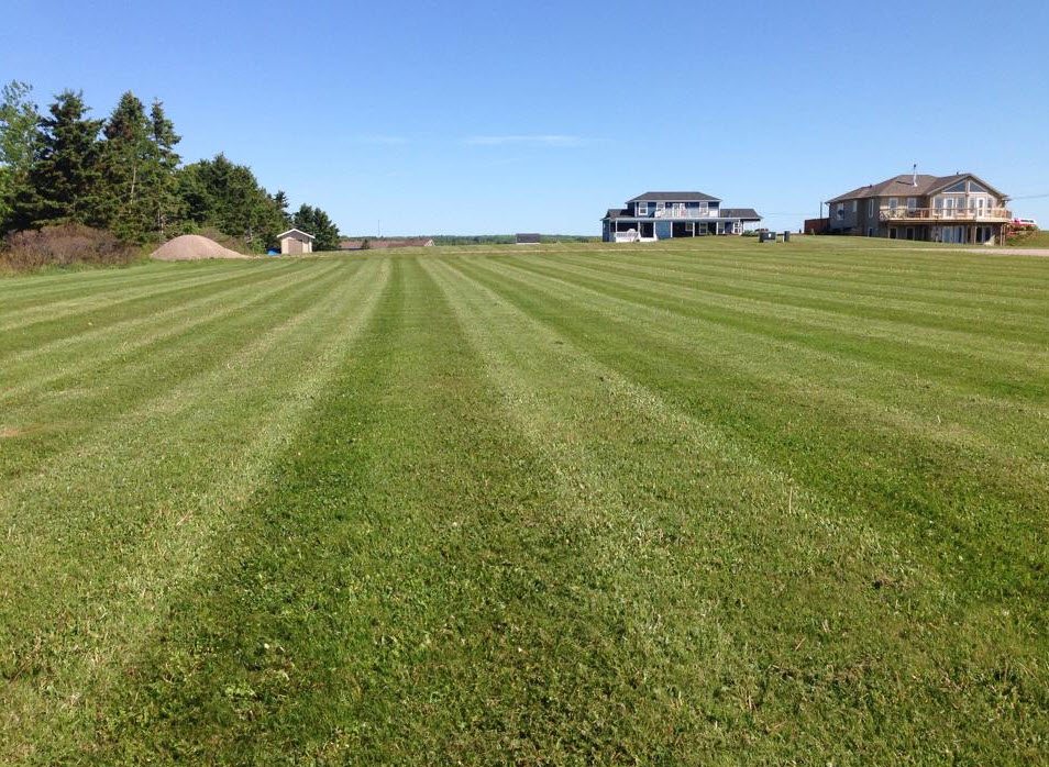 Images Exact Lawn Care