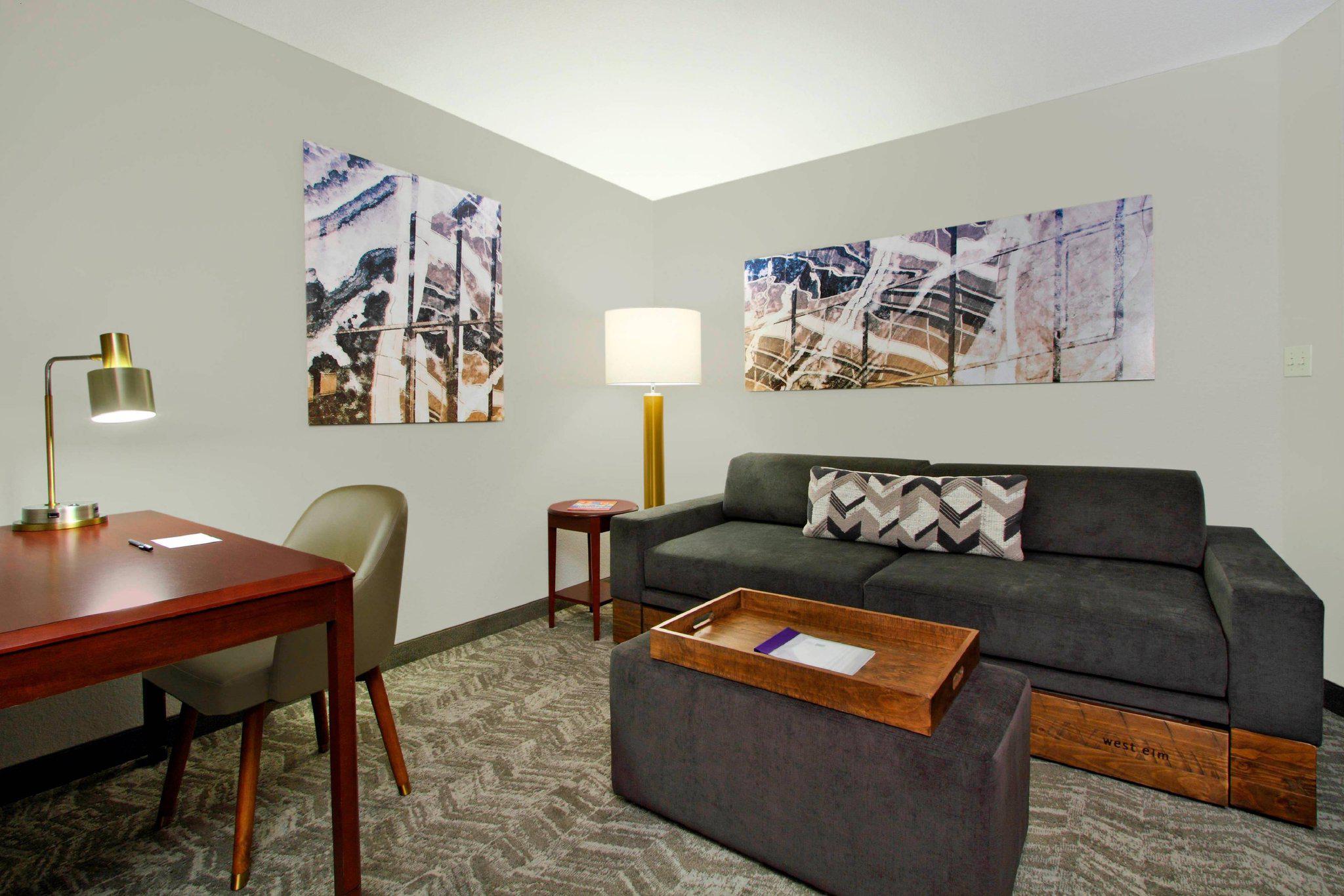 SpringHill Suites by Marriott Chesapeake Greenbrier Photo