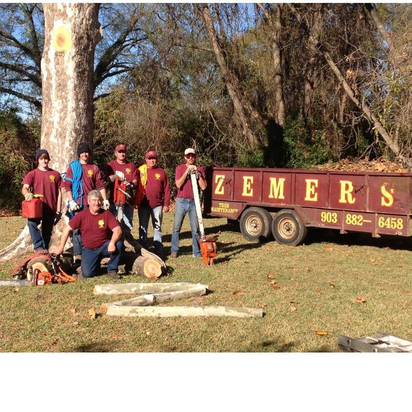 Zemers Tree Maintenance Logo