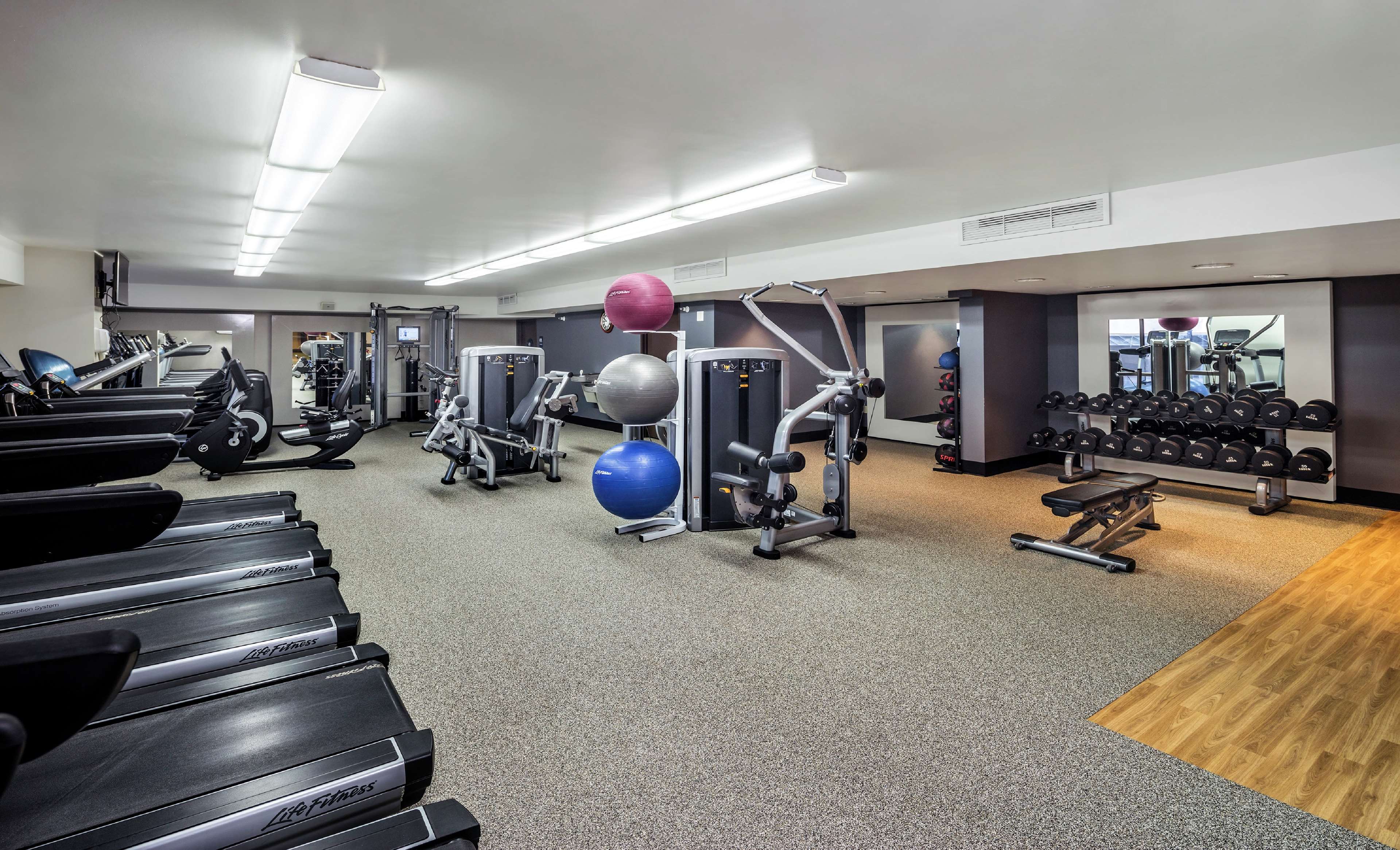 Health club  fitness center  gym