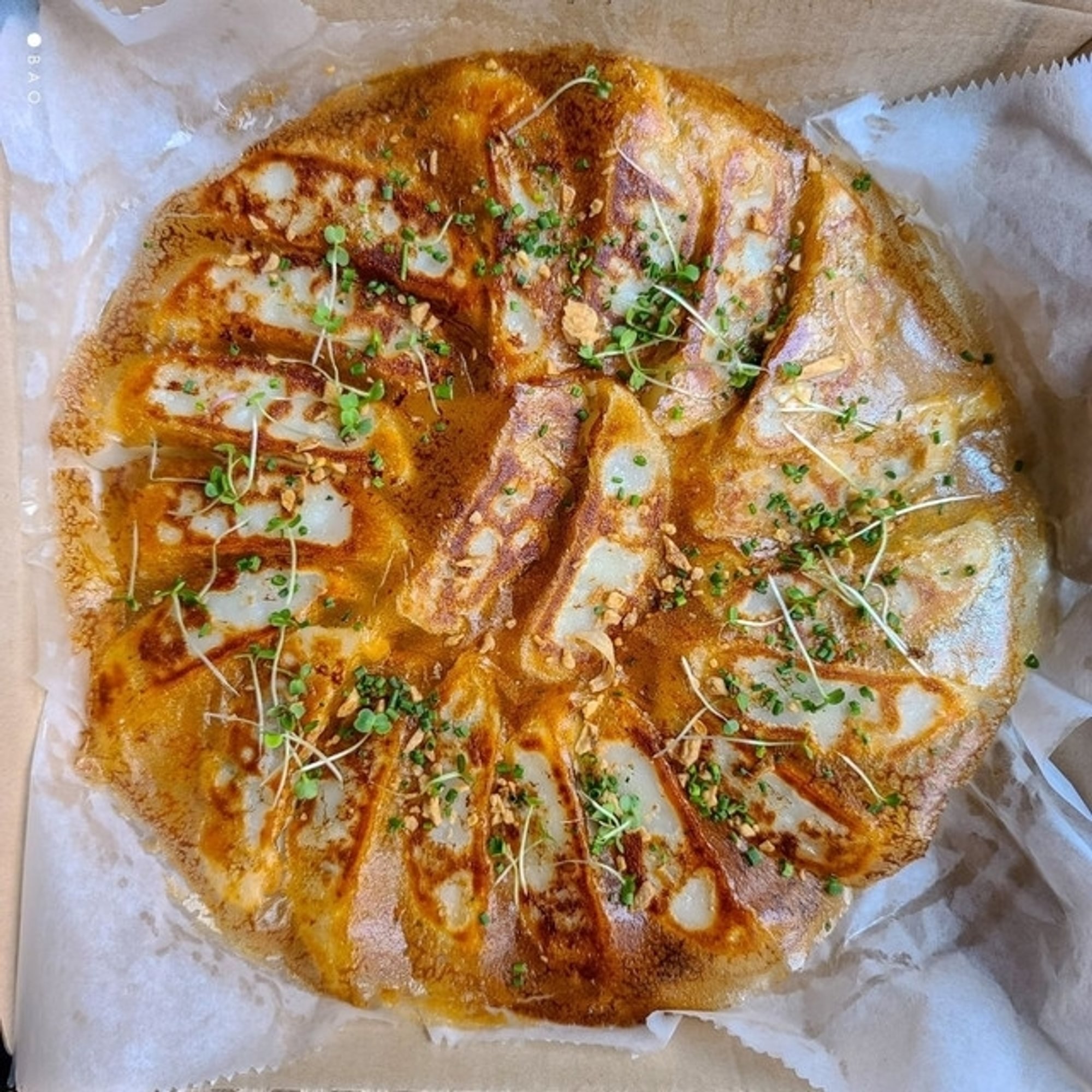 Pizza Gyoza