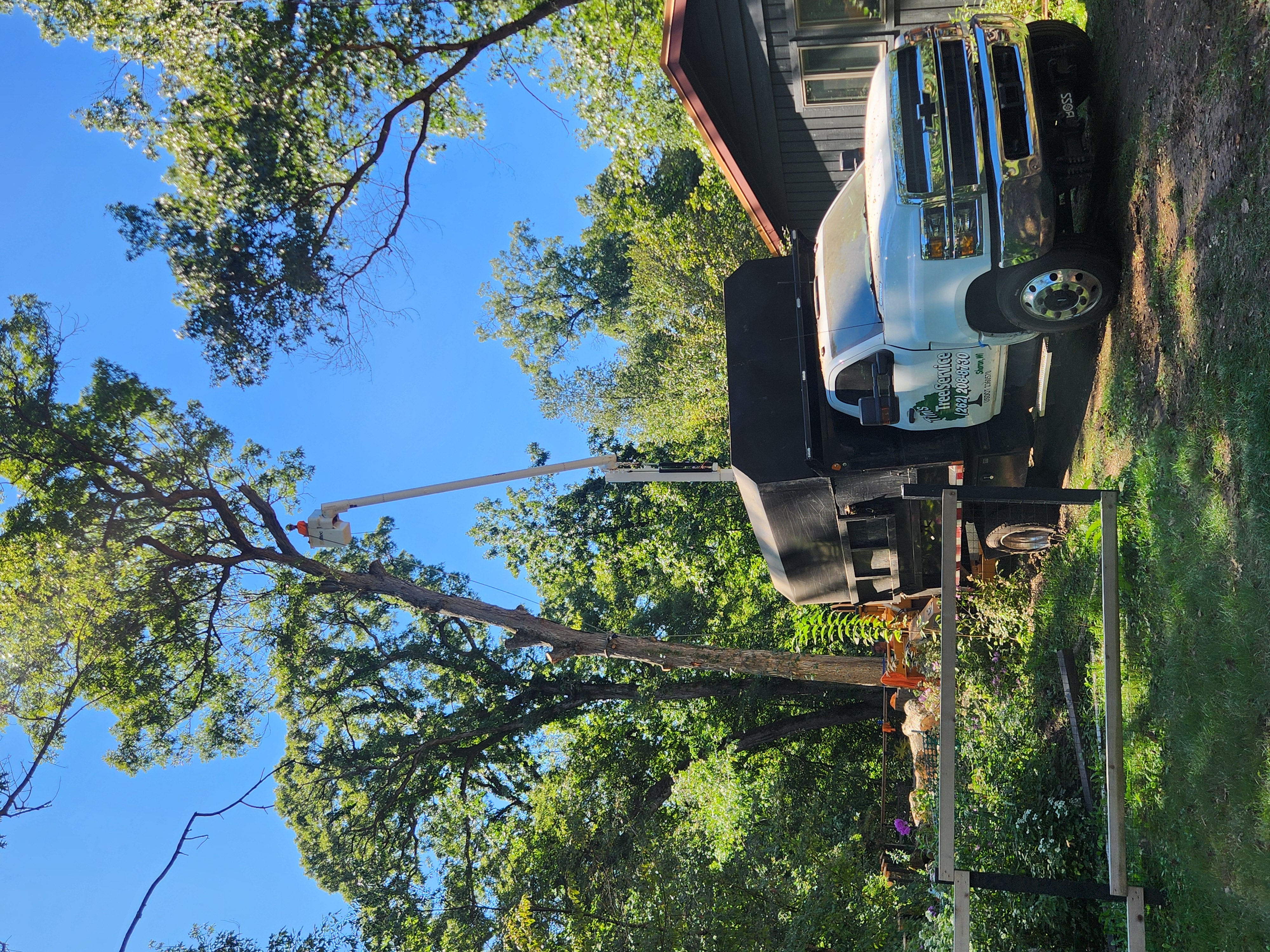 Tim's Tree Service Image