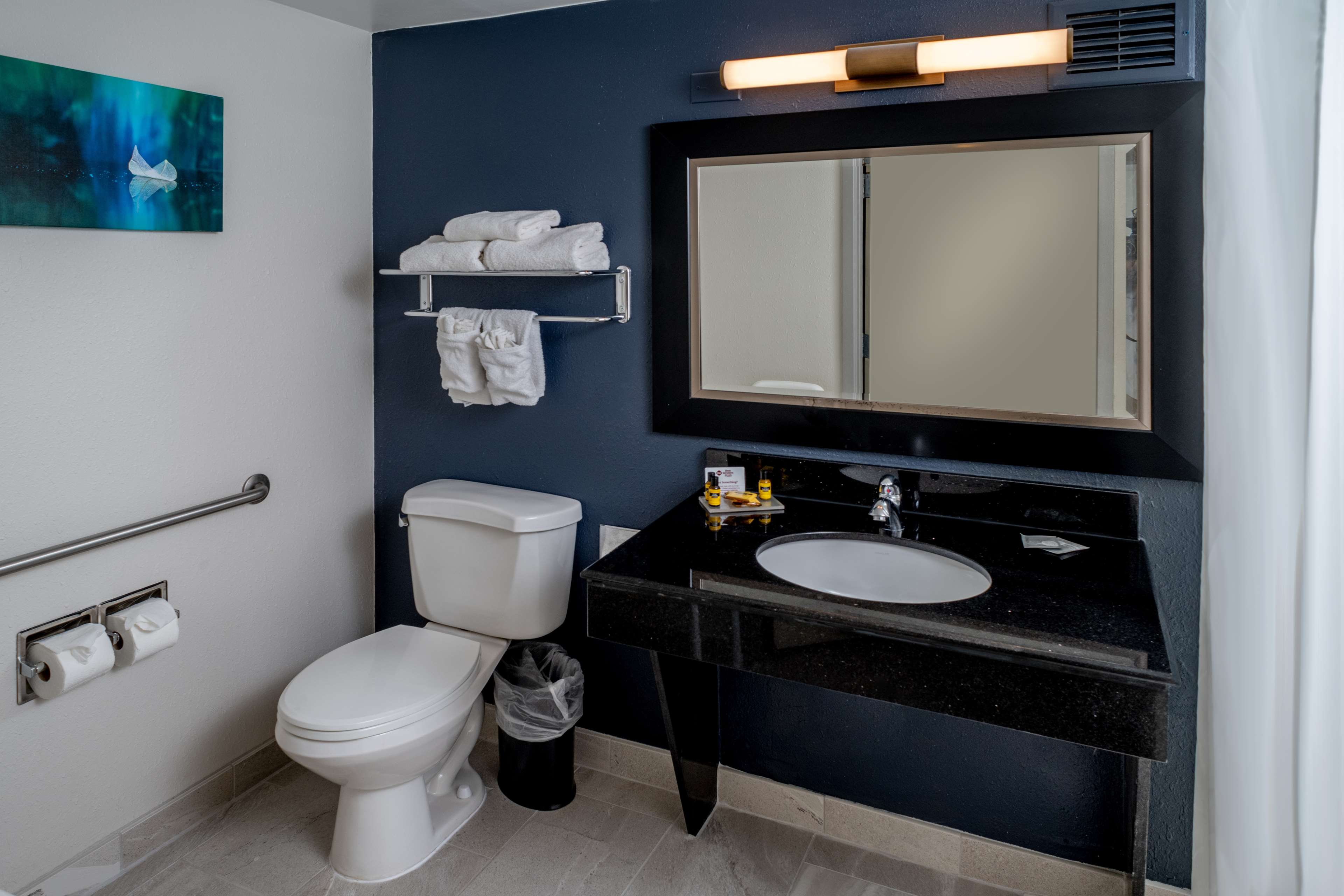 Accessible Guest Bathroom