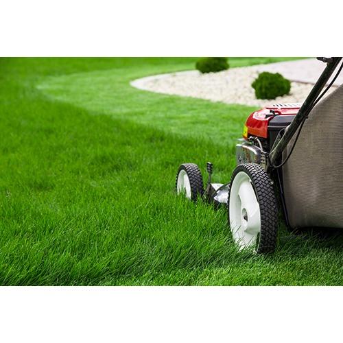 Snyder Lawn Care &amp; Landscaping LLC Logo