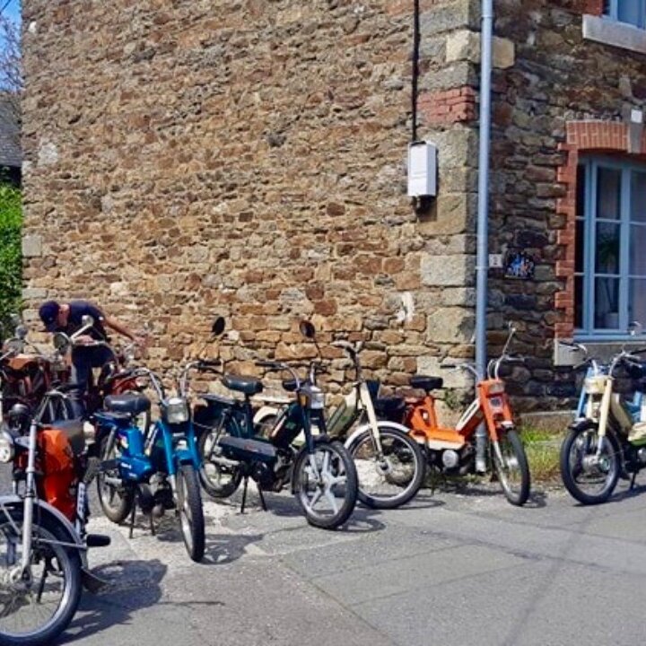 Miniature de la galerie