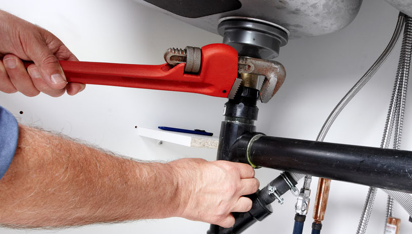 Royal Rooter, LLC Image