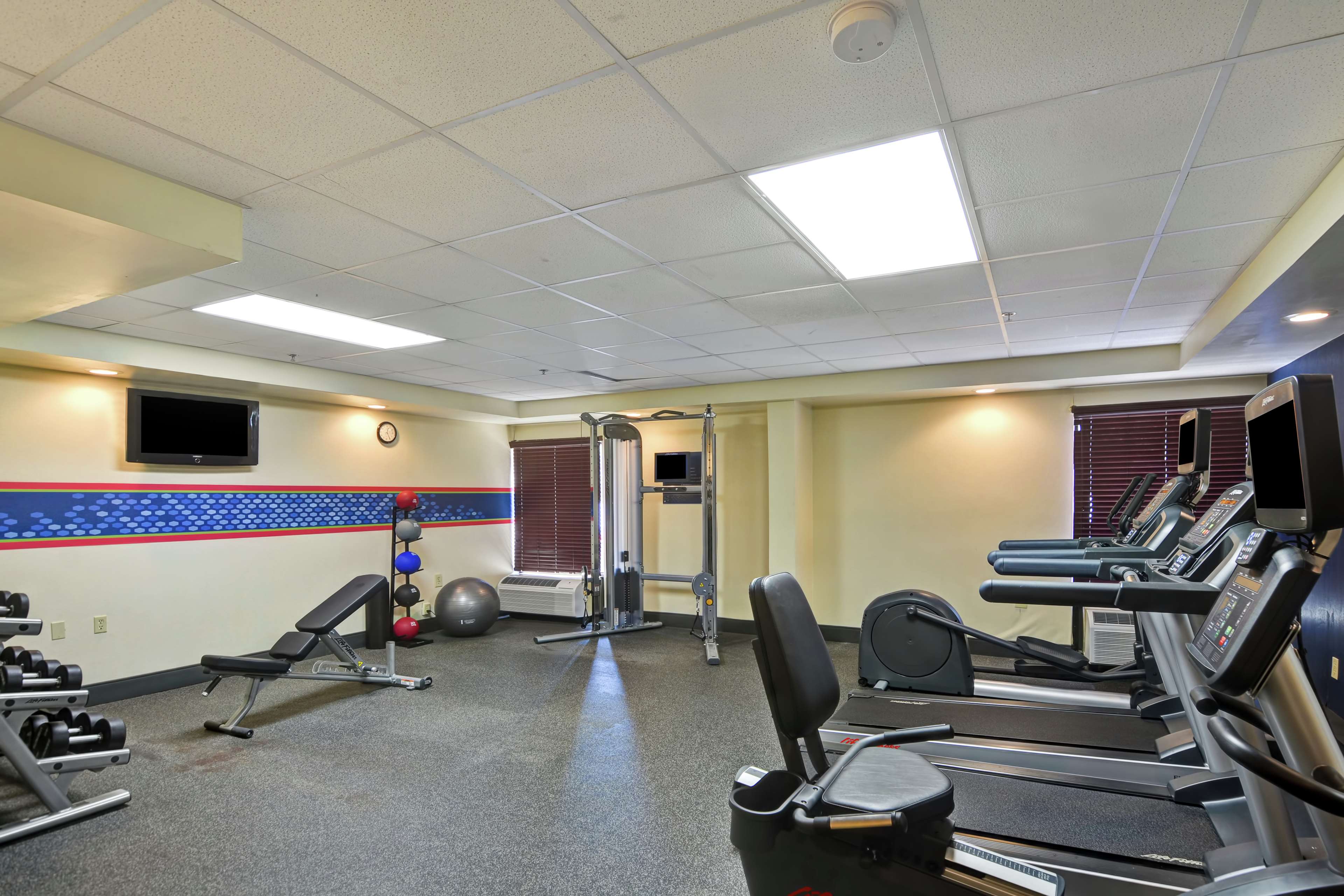 Health club  fitness center  gym