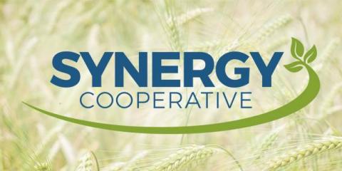 Synergy Cooperative Photo