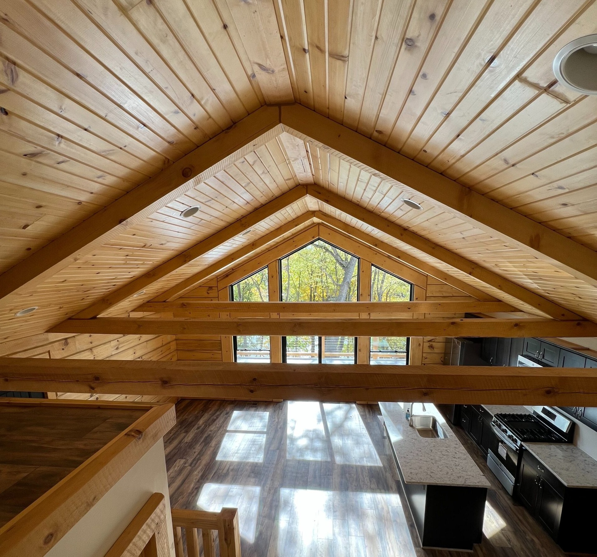 PLH Exclusives Image