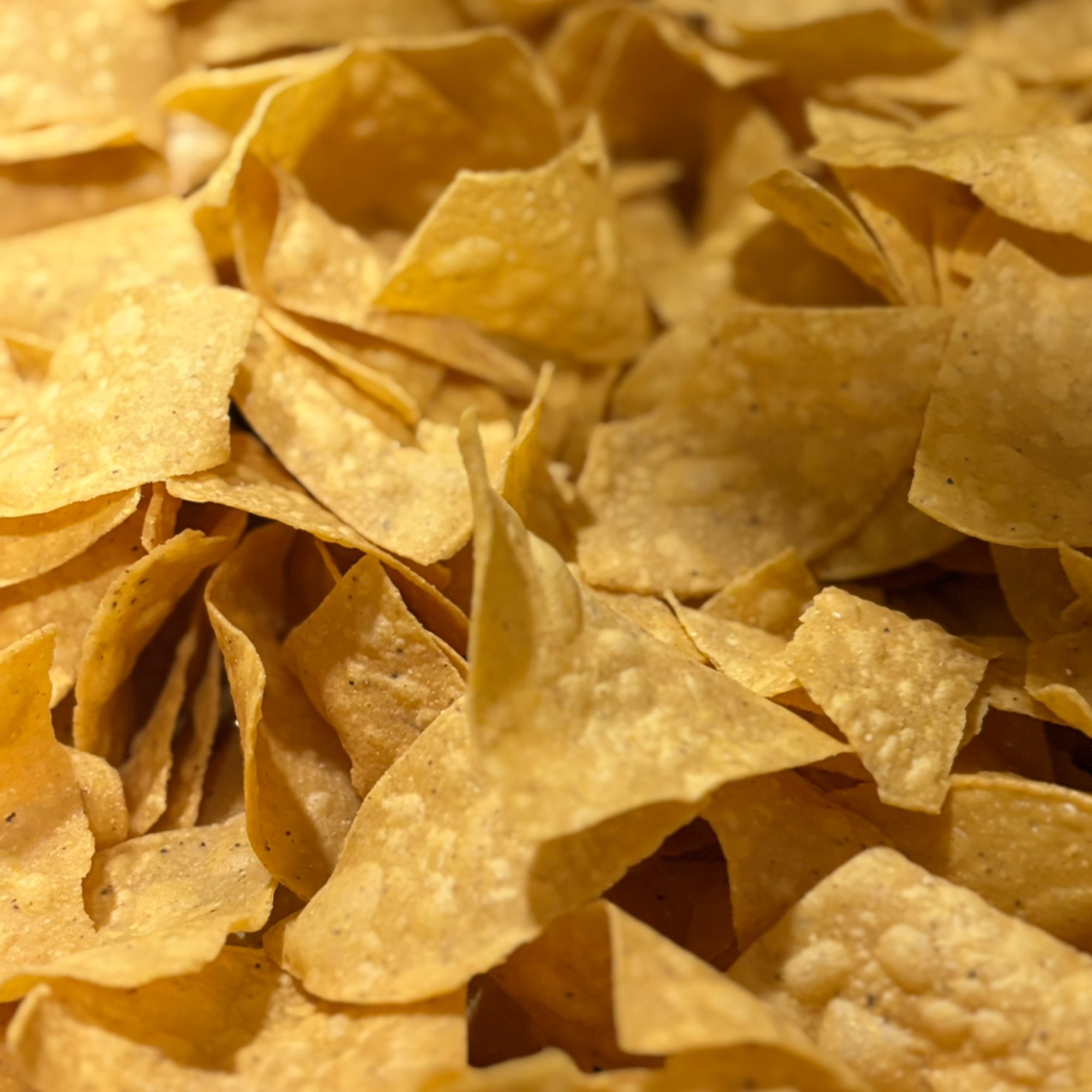 Large Chips. (4lbSide)