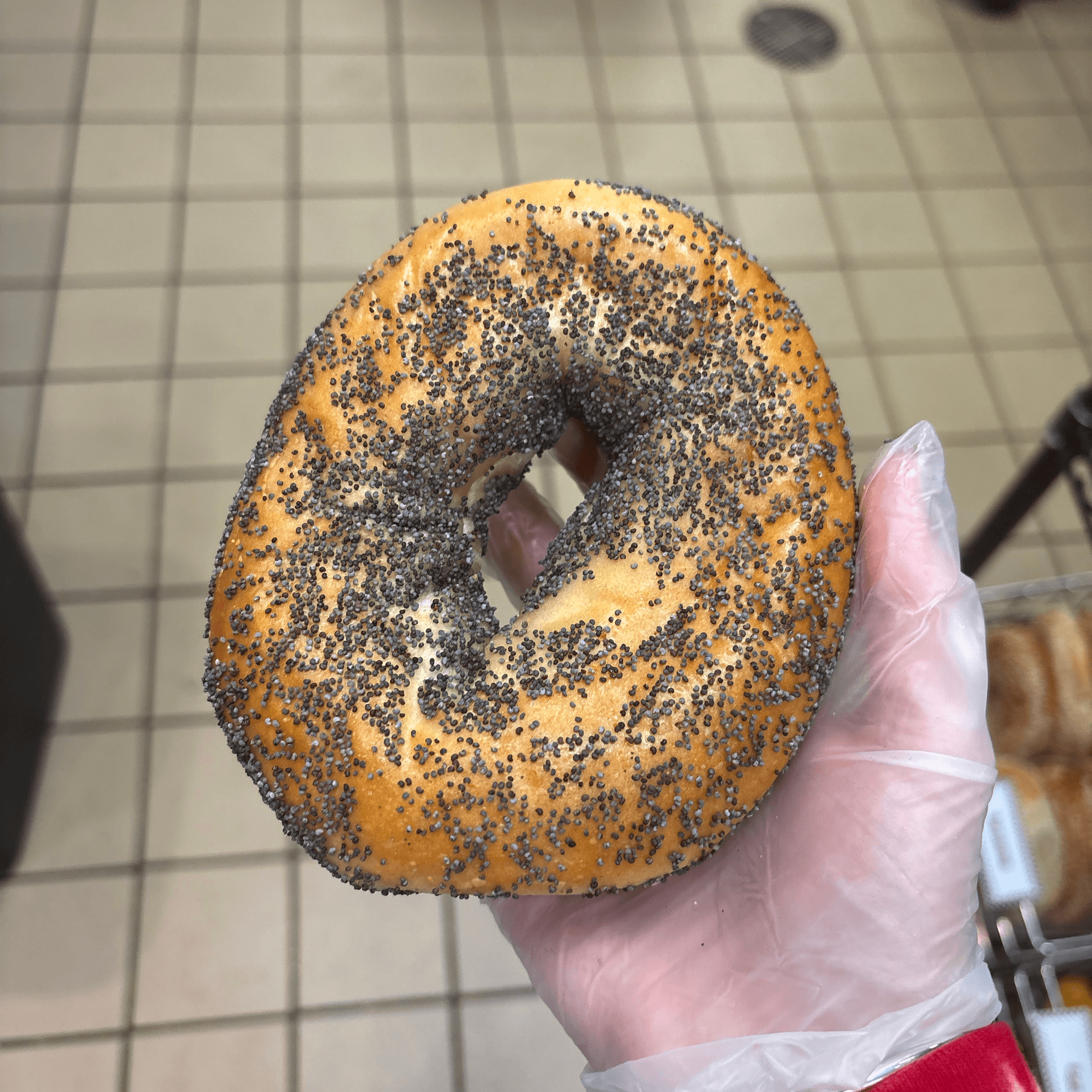 Poppy Bagel