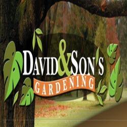David &amp; Son's Gardening Logo