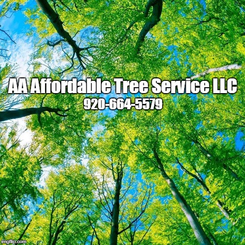 AA Affordable Tree Service LLC Logo